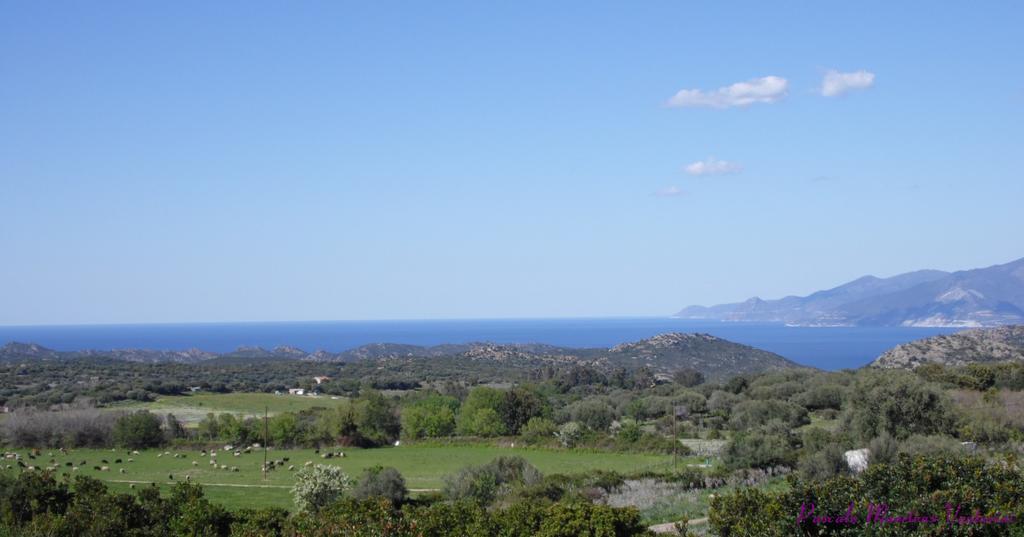La Canardiere Casta Luaran gambar